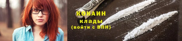 твердый Богданович