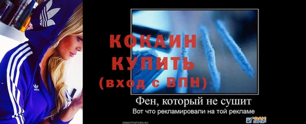 твердый Богданович