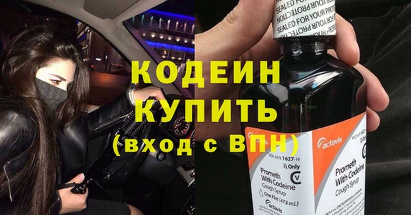 твердый Богданович