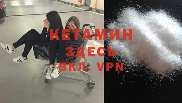 прущие грибы Белокуриха