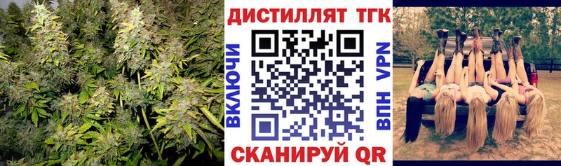 купить   Невель  Дистиллят ТГК THC oil 